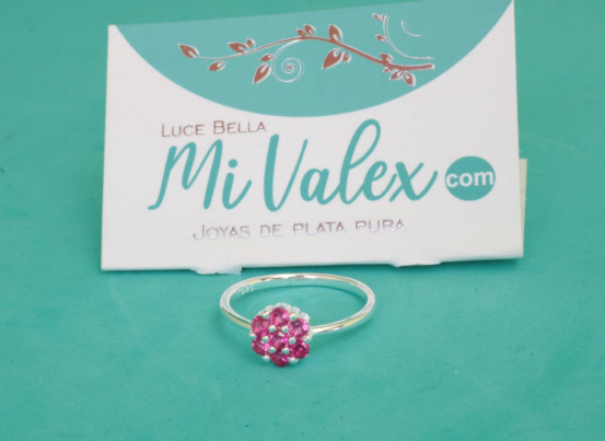 Apl329 Arete Flor Rosa