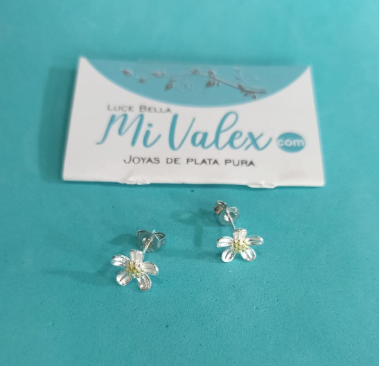 A570 Arete Flor Blanca