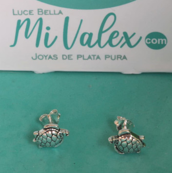 A422 Arete Tortuguita