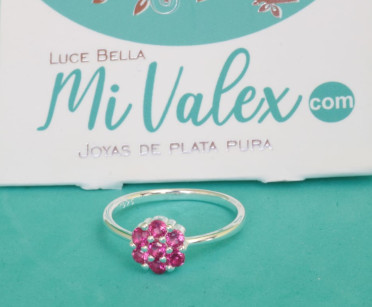 Apl329 Arete Flor Rosa